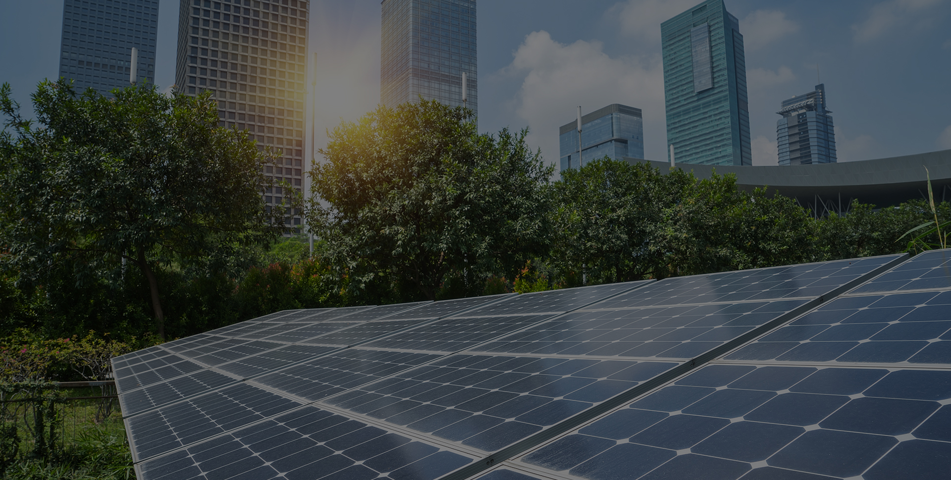 Commercial Energy Management & Solutions